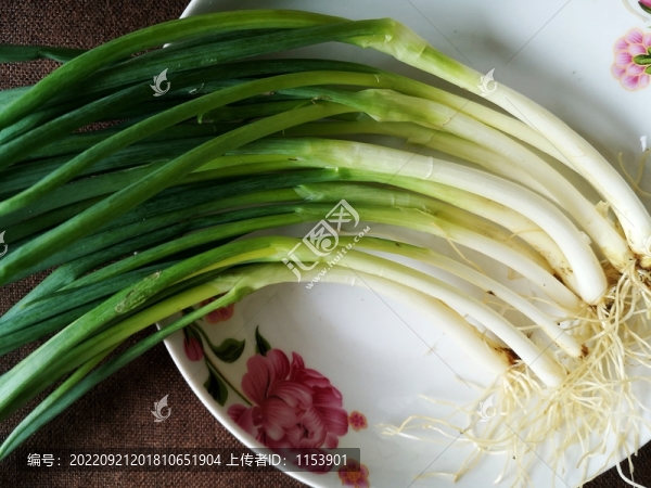 小蔥