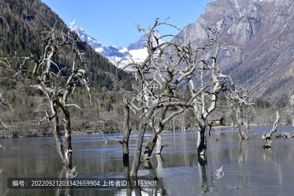 高山湖泊