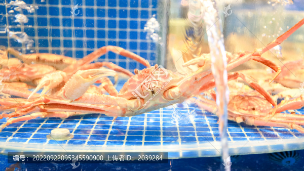 海鮮長(zhǎng)腳蟹