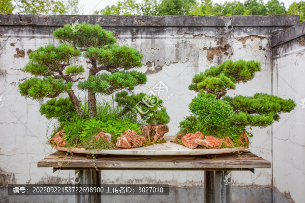 鮑家花園