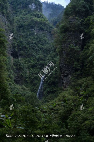 森林里的瀑布
