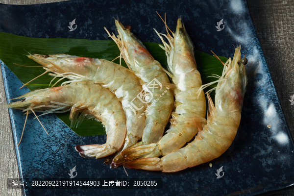 盤子上的五只蝦