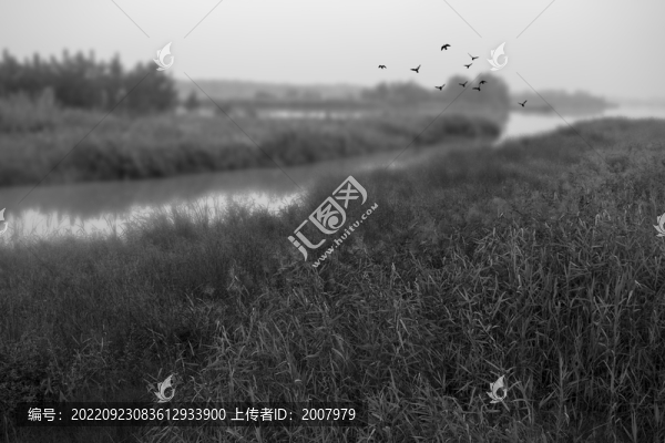 楊凌渭河濕地