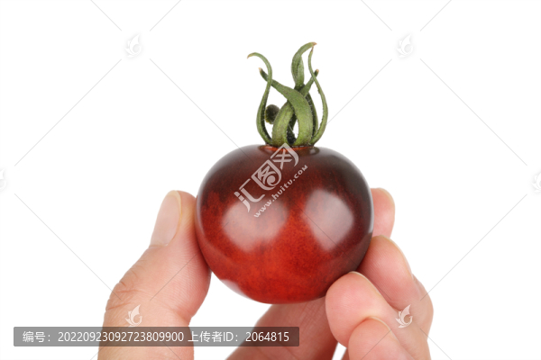小番茄