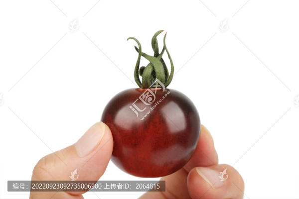 黑番茄