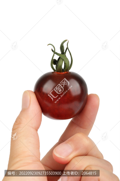 黑番茄
