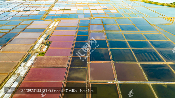 天津濱海新區(qū)鹽田豐收