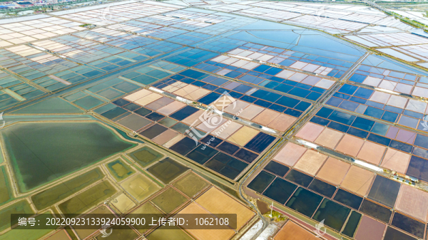 天津濱海新區(qū)鹽田豐收