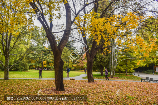 北京紫竹院公園秋日風(fēng)景