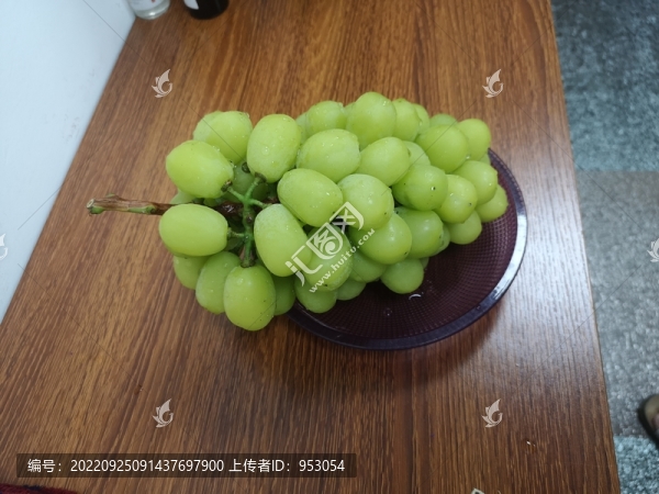 葡萄