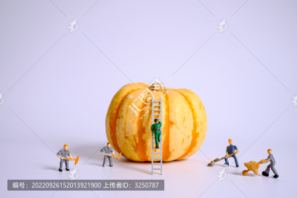 貝貝小南瓜