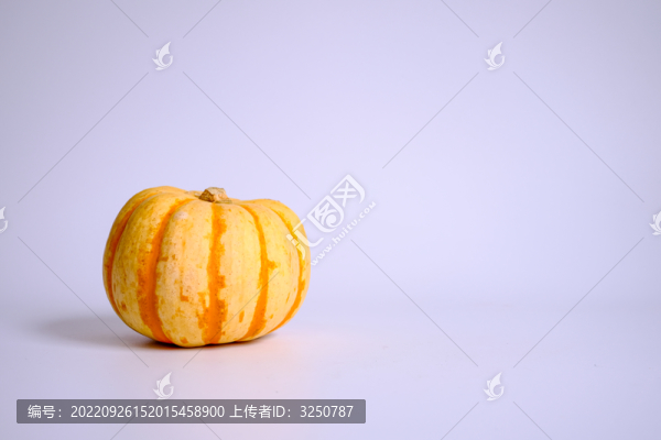 貝貝小南瓜