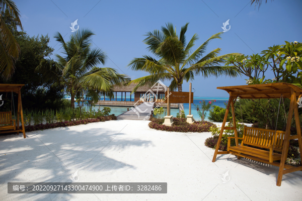 馬爾代夫神仙珊瑚島馬代海水