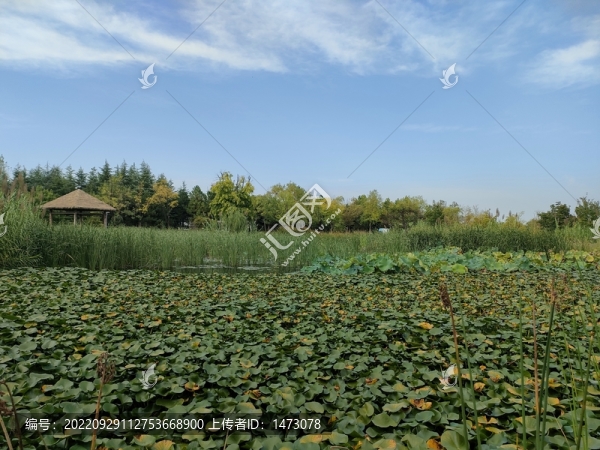 公園