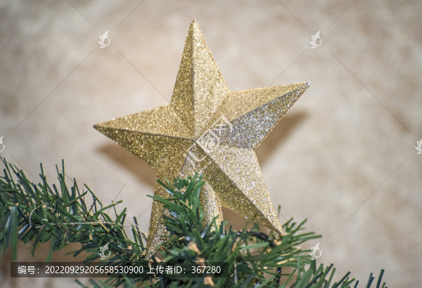 圣誕樹上的金色五角星