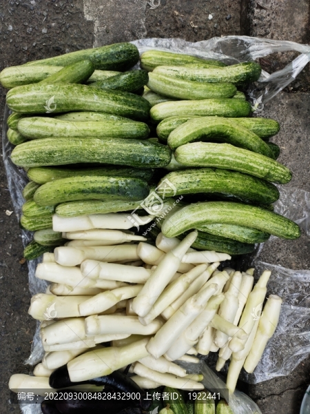 黃瓜與茭白