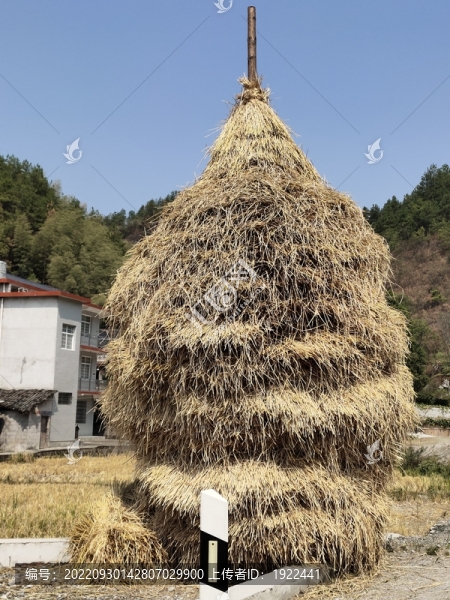 草樹