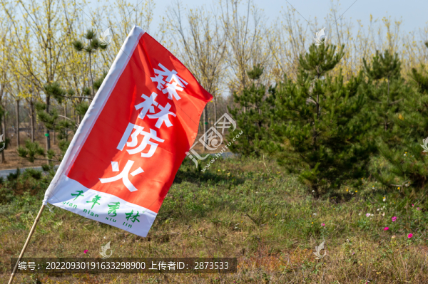 森林防火