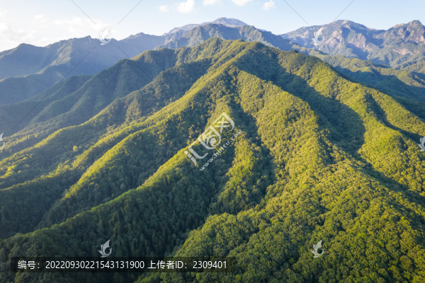 秦嶺山風(fēng)光