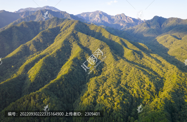 秦嶺山