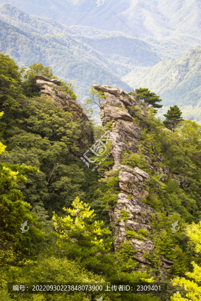 山崖