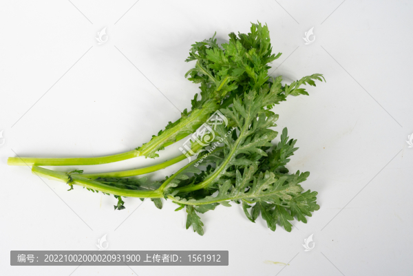 茼蒿