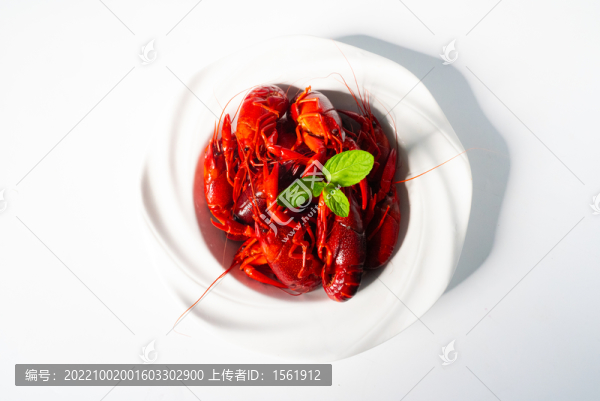 小龍蝦