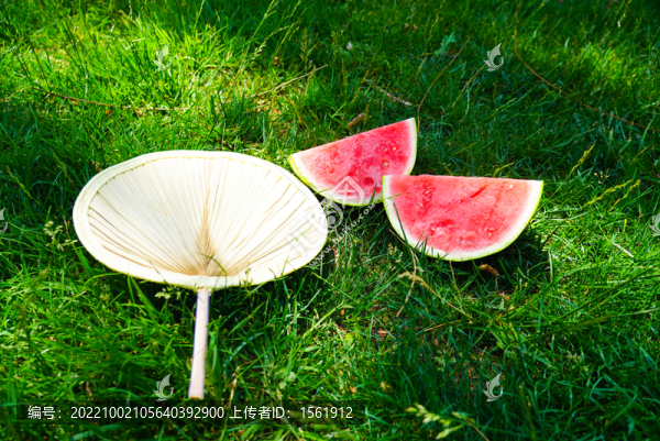 夏季西瓜