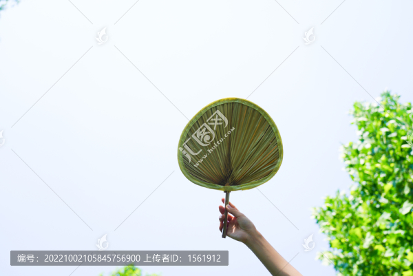 夏至夏季手拿扇子
