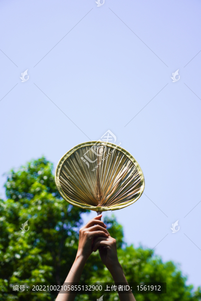 夏至夏季手拿扇子