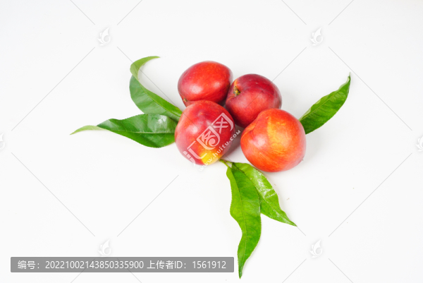 油桃