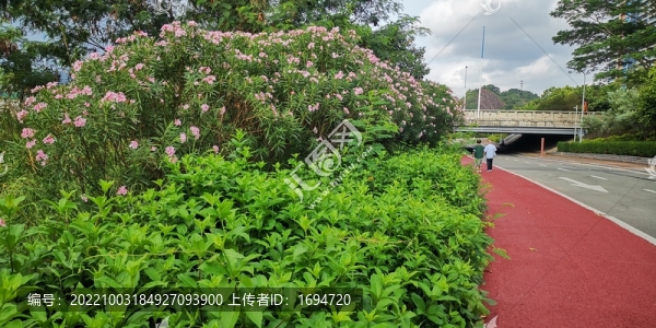 馬路伴侶