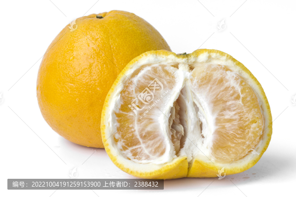 葡萄柚