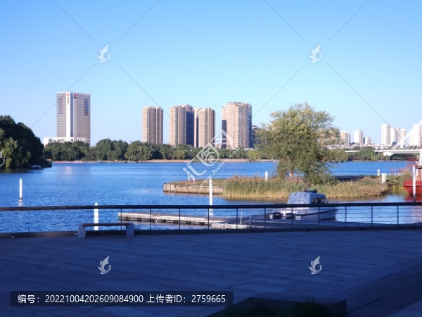 沈陽渾河岸邊的建筑和綠樹