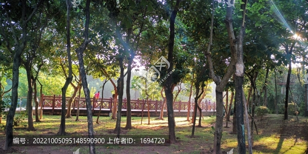 紅樹林晨跑