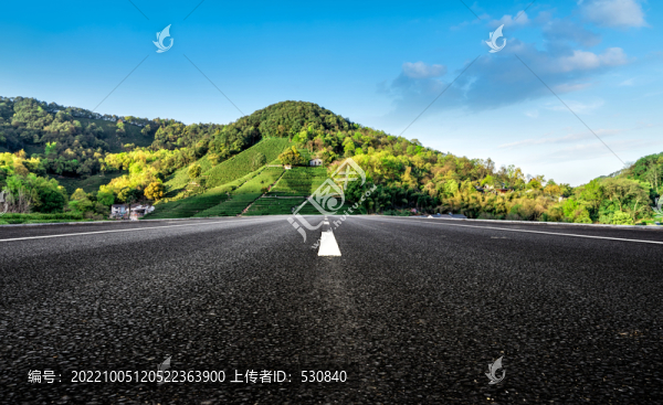 高速公路和茶園茶田
