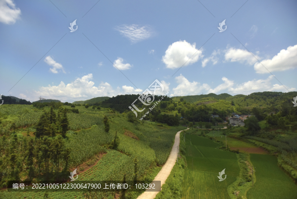 鄉(xiāng)間綠野風(fēng)光