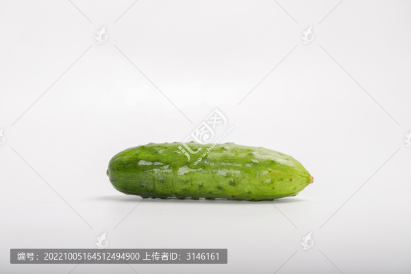 黃瓜白底圖