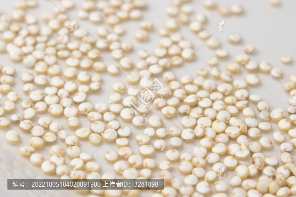 白色藜麥高清特寫