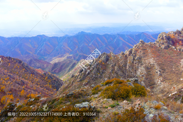 山景