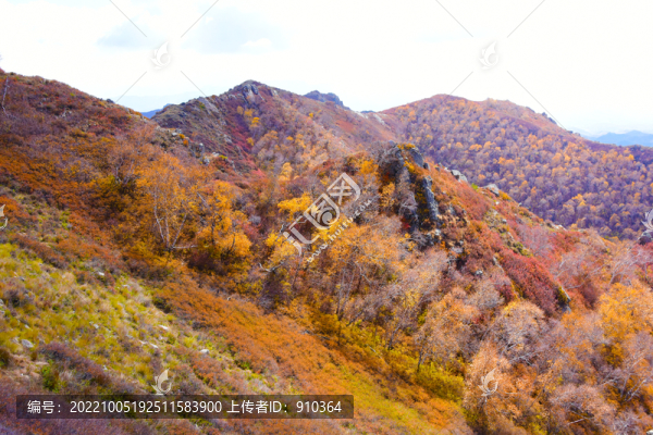 高山風(fēng)景