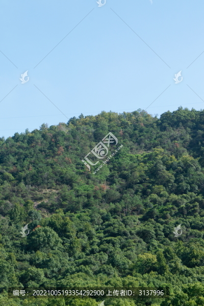 山林綠化