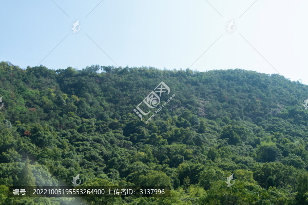 山林綠化