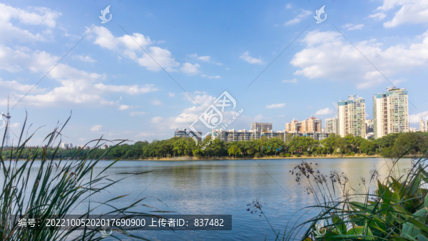 金秋戶外天空