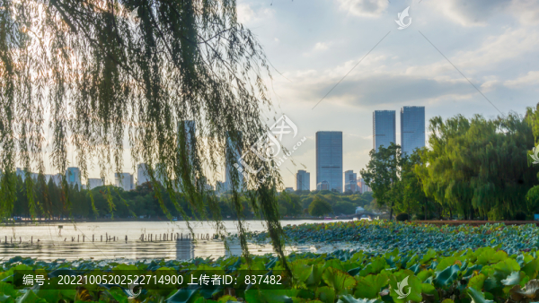 湖畔風(fēng)景