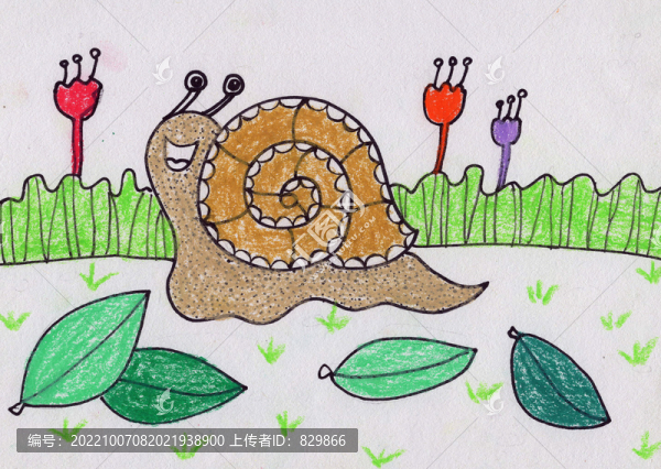 兒童插畫小蝸牛