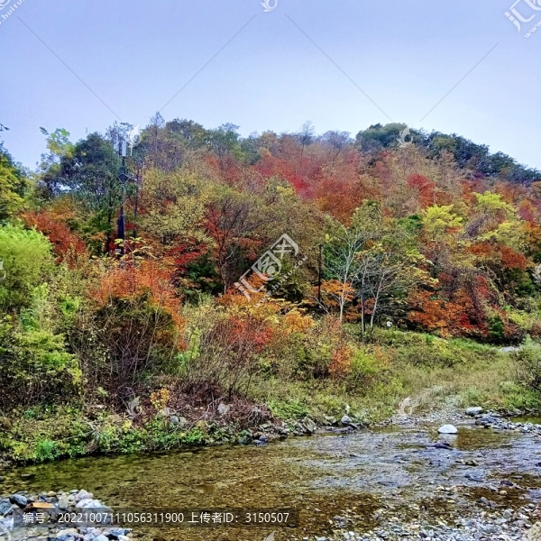 層林盡染水色清