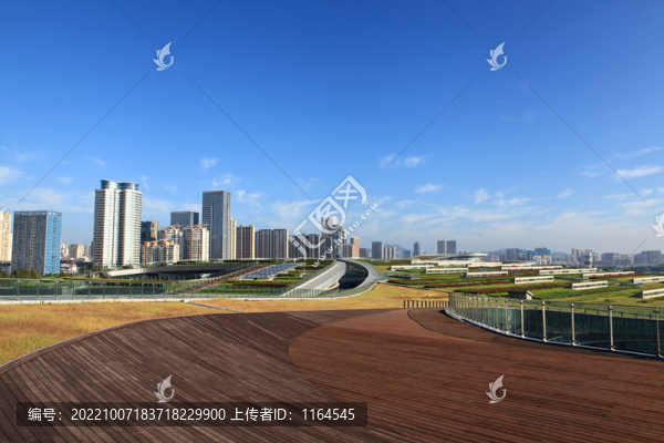 屋頂綠化