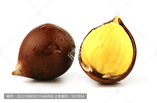 錐栗仁