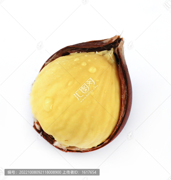 生錐栗仁